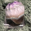 Achatisierte Amethyst Druse aus Uruguay (245g) - schöne hellviolette Kristalle und Rand - crystal paradise