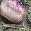 Achatisierte Amethyst Druse aus Uruguay (245g) - schöne hellviolette Kristalle und Rand - crystal paradise