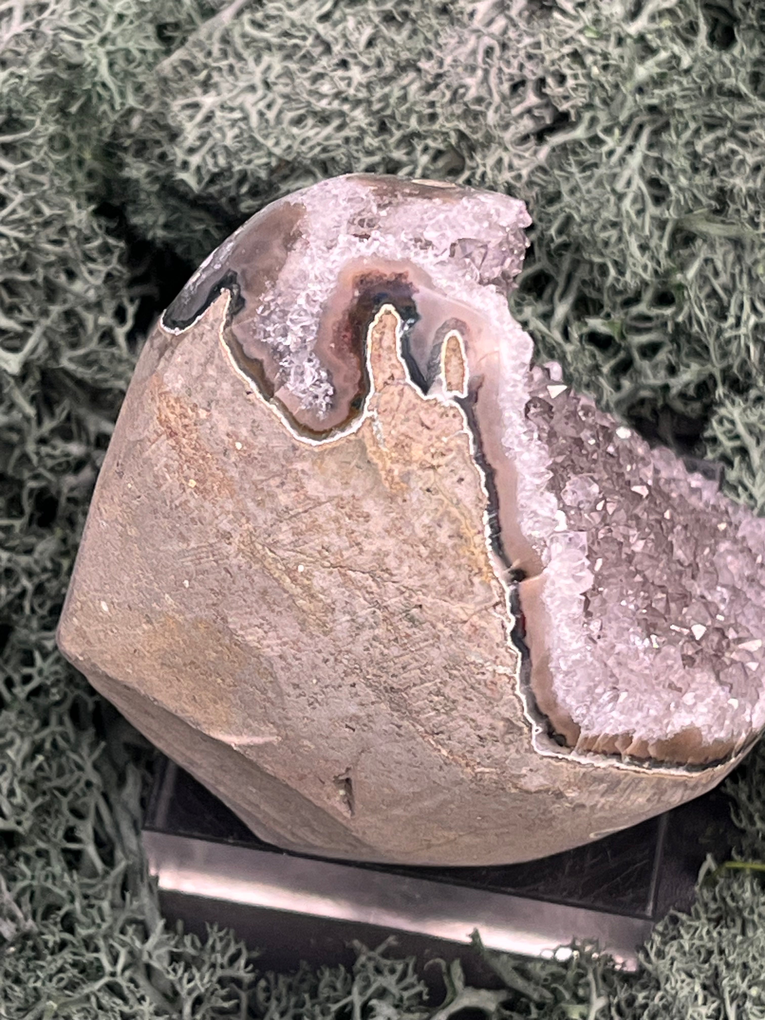 Achatisierte Amethyst Druse aus Uruguay (317g) - schöne helle Kristalle und Achatisierung - crystal paradise