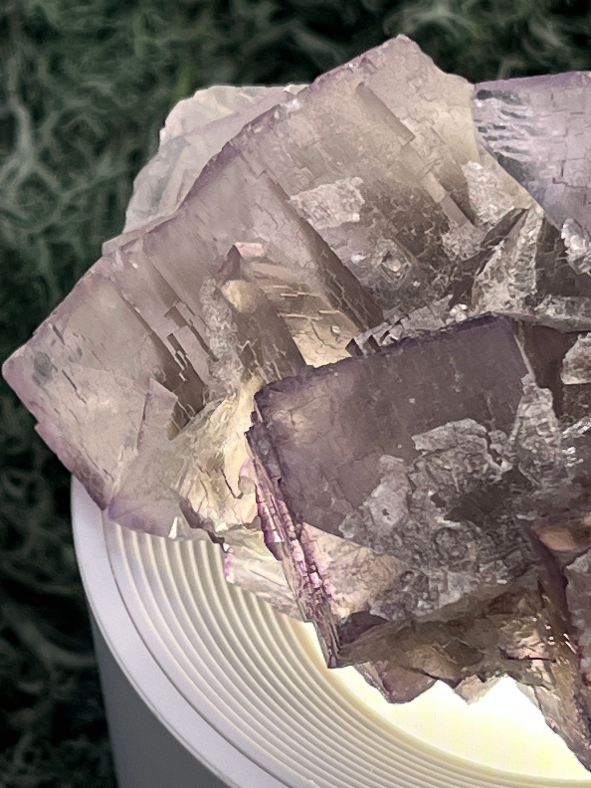 Fluorit Stufe aus Baluchistan/Pakistan (212g) - Handstufe mit vielen violetten Kristallwürfeln - crystal paradise