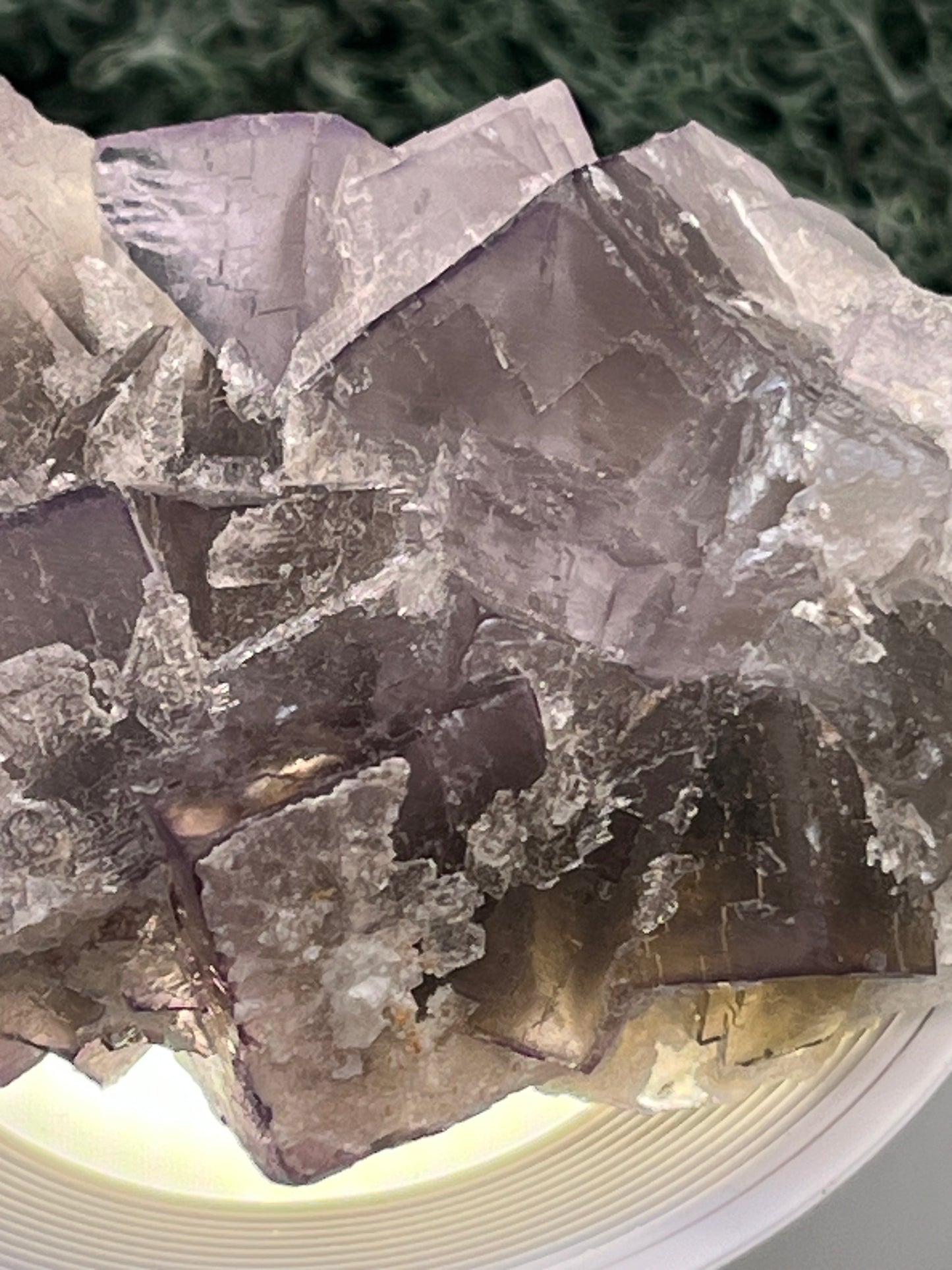 Fluorit Stufe aus Baluchistan/Pakistan (212g) - Handstufe mit vielen violetten Kristallwürfeln - crystal paradise