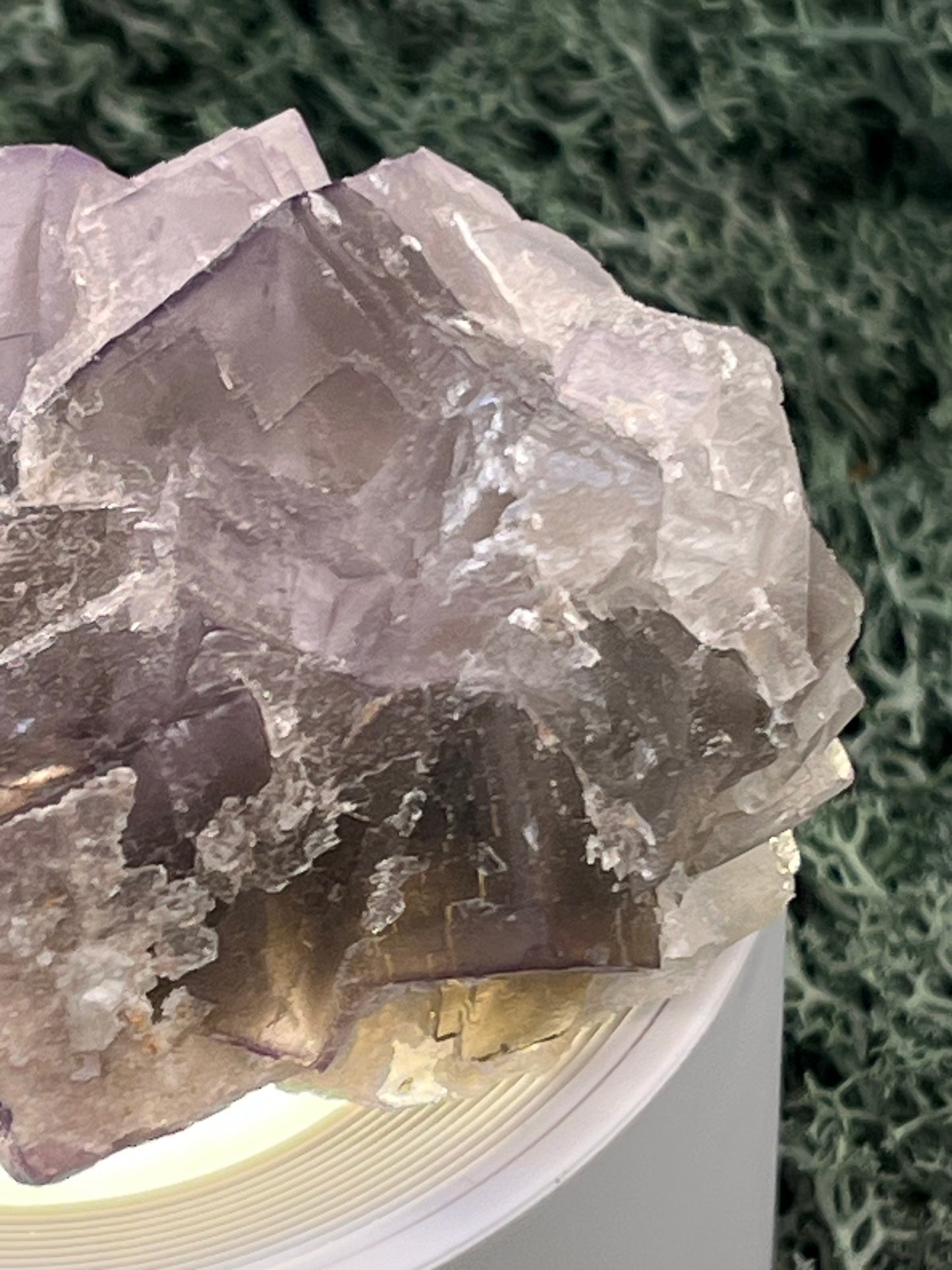 Fluorit Stufe aus Baluchistan/Pakistan (212g) - Handstufe mit vielen violetten Kristallwürfeln - crystal paradise