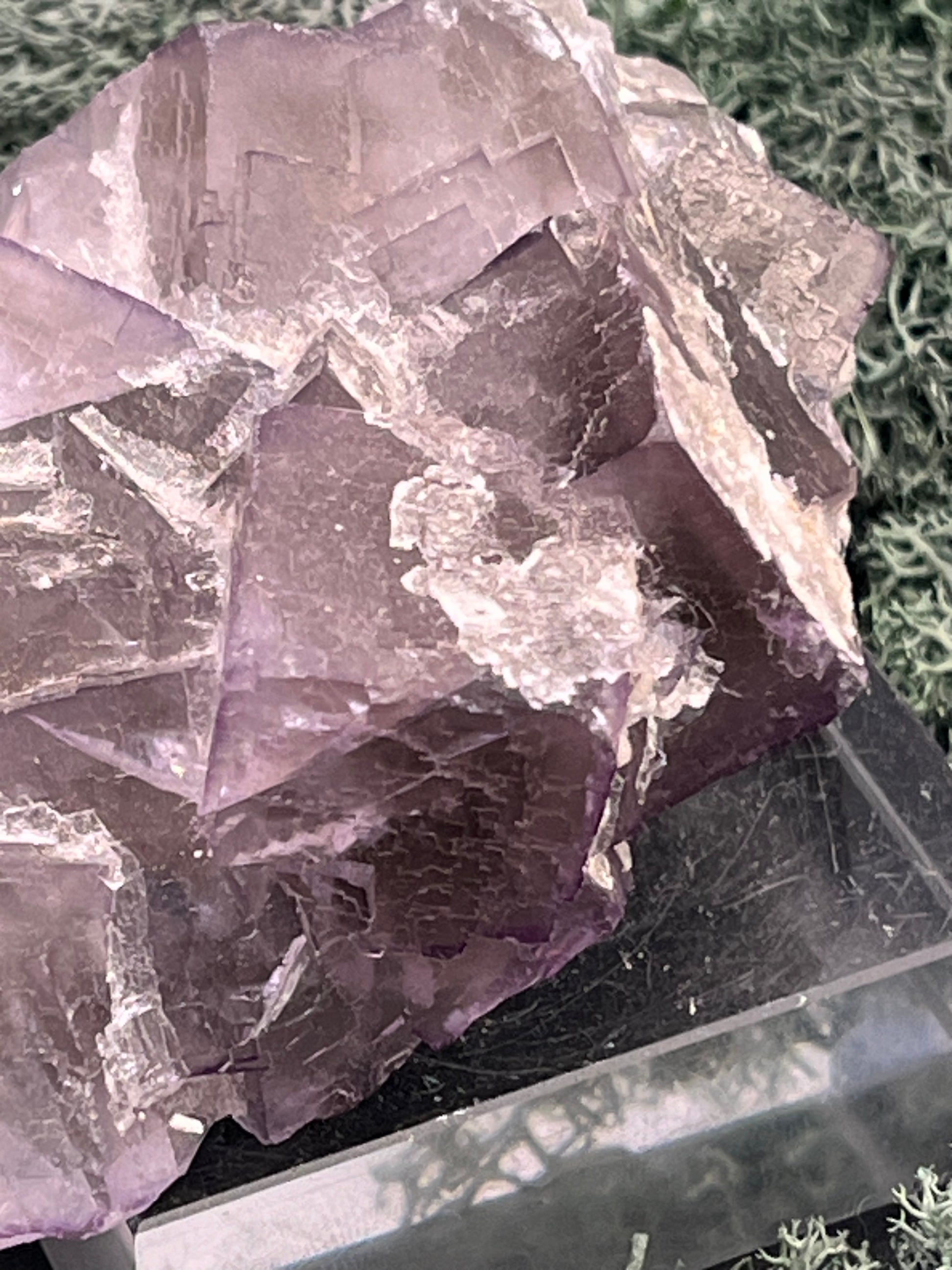 Fluorit Stufe aus Baluchistan/Pakistan (212g) - Handstufe mit vielen violetten Kristallwürfeln - crystal paradise