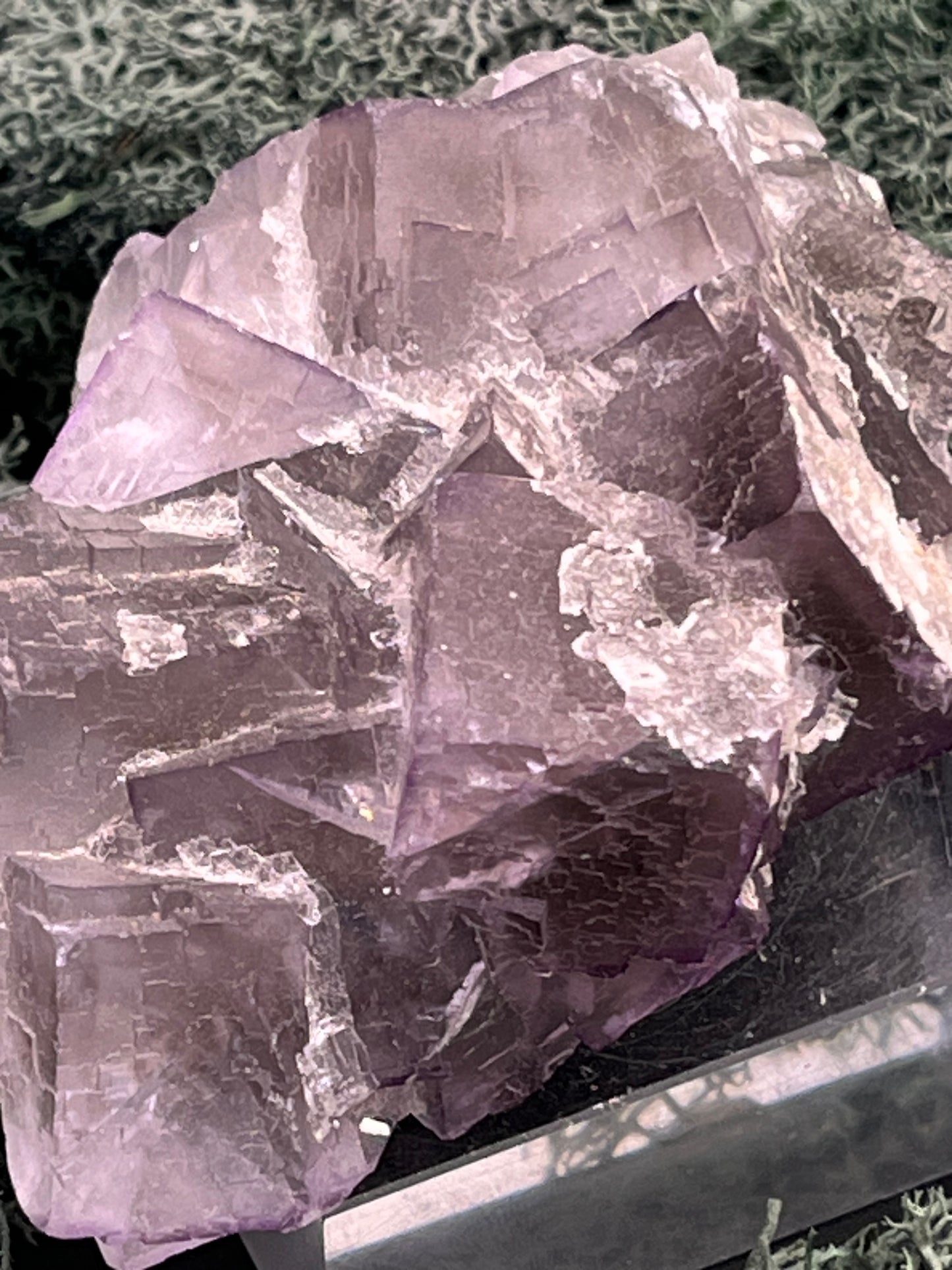 Fluorit Stufe aus Baluchistan/Pakistan (212g) - Handstufe mit vielen violetten Kristallwürfeln - crystal paradise