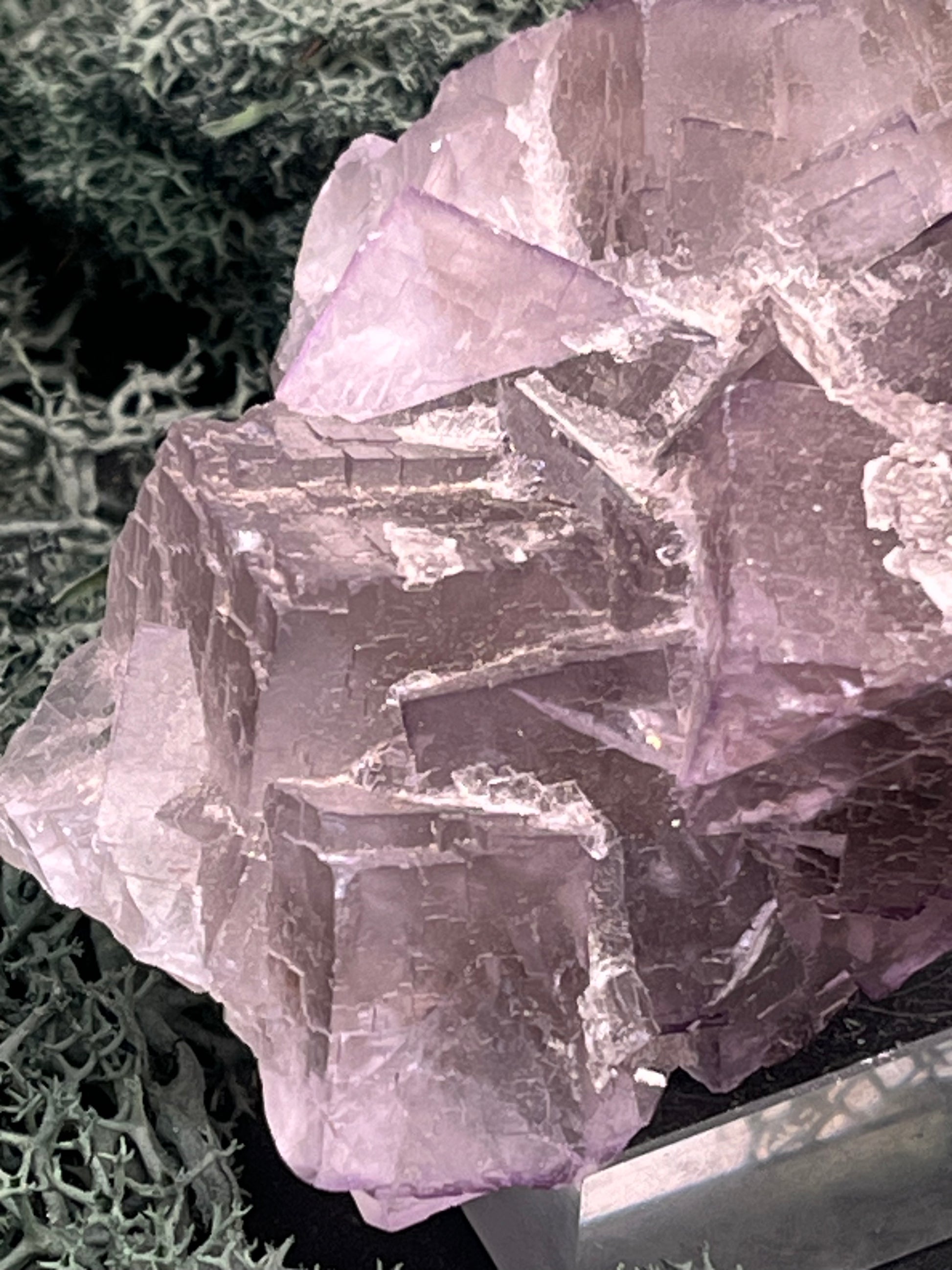 Fluorit Stufe aus Baluchistan/Pakistan (212g) - Handstufe mit vielen violetten Kristallwürfeln - crystal paradise