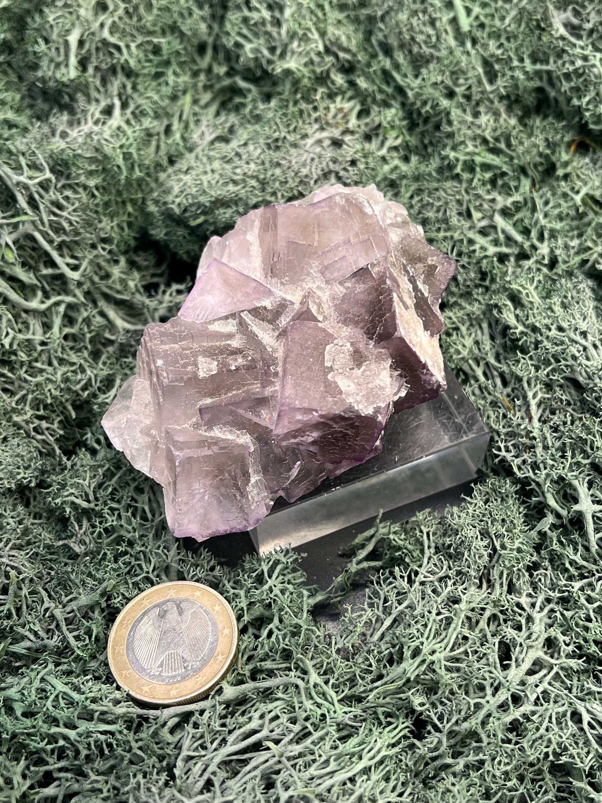 Fluorit Stufe aus Baluchistan/Pakistan (212g) - Handstufe mit vielen violetten Kristallwürfeln - crystal paradise