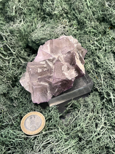 Fluorit Stufe aus Baluchistan/Pakistan (212g) - Handstufe mit vielen violetten Kristallwürfeln - crystal paradise