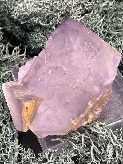 Fluorit Stufe aus Baluchistan/Pakistan (79g) - Stufe mit Barcode-Kristallstruktur und hellem Violett - crystal paradise