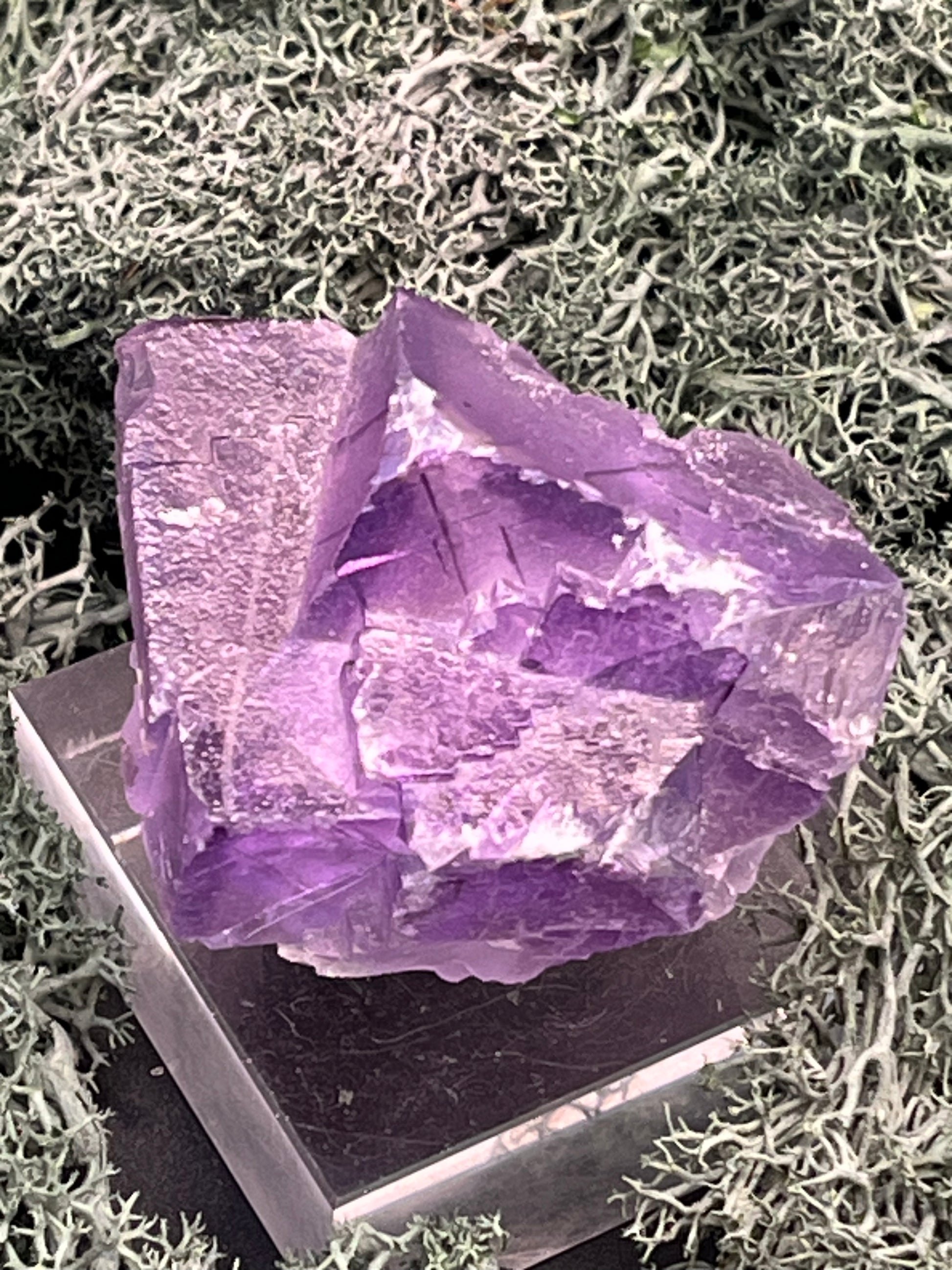 Fluorit Stufe aus Baluchistan/Pakistan (139g) - Stufe mit schöner violetter Kristallstruktur - crystal paradise