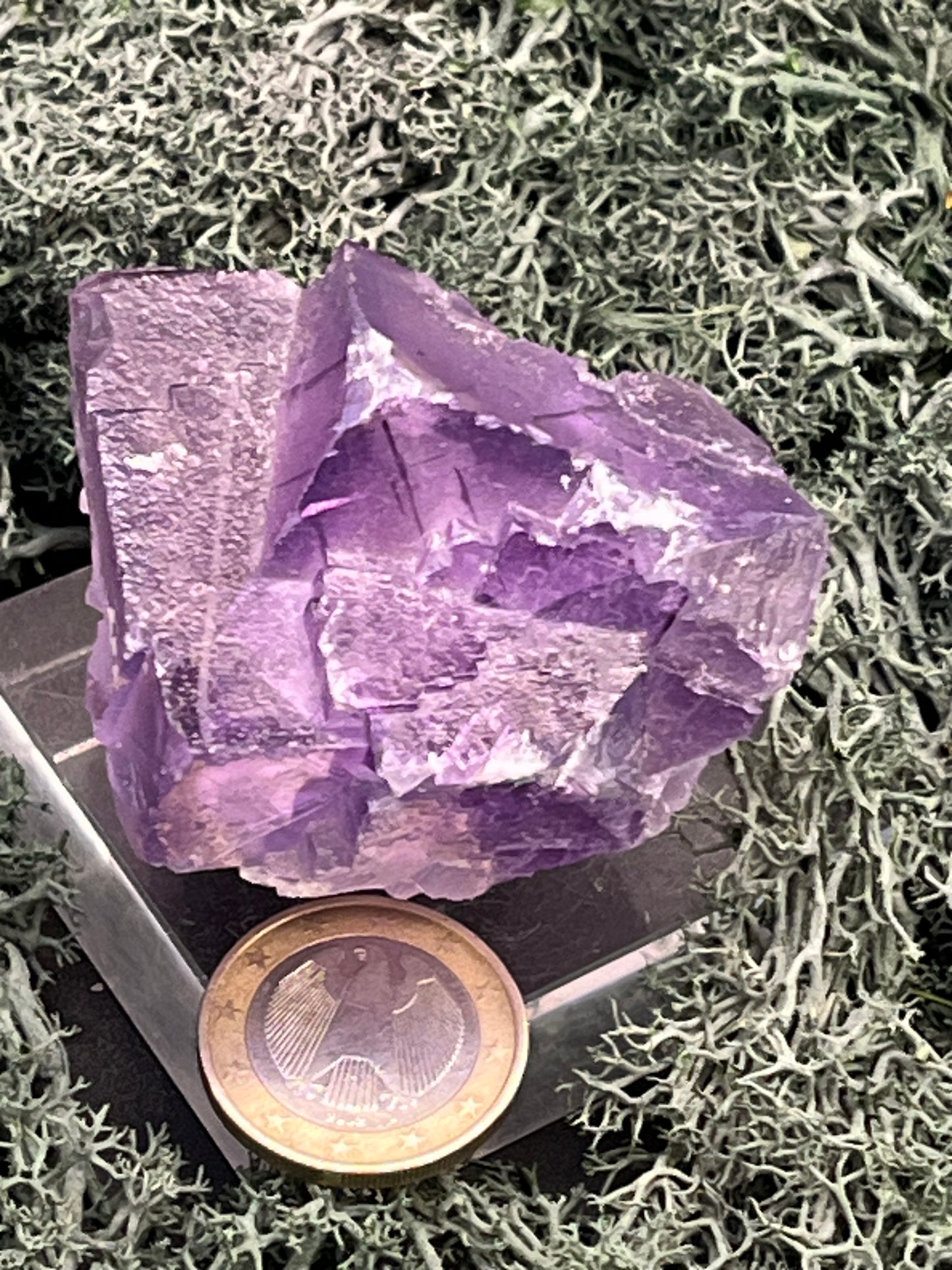 Fluorit Stufe aus Baluchistan/Pakistan (139g) - Stufe mit schöner violetter Kristallstruktur - crystal paradise