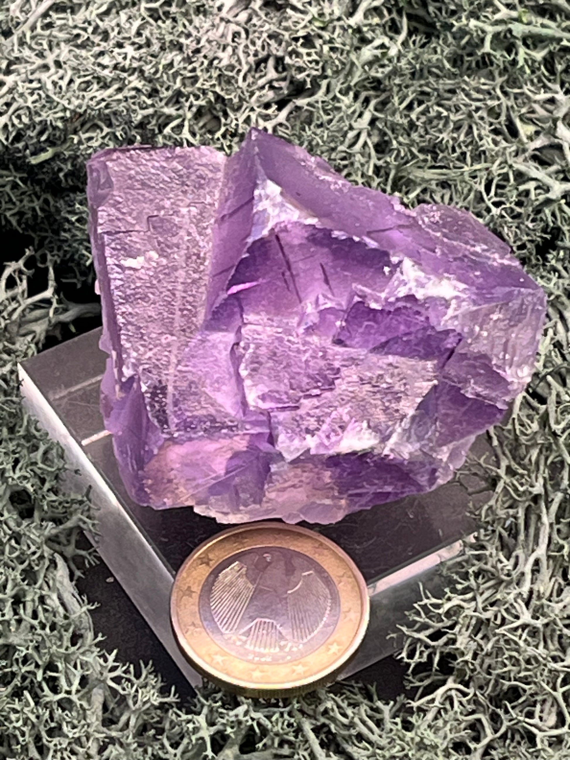 Fluorit Stufe aus Baluchistan/Pakistan (139g) - Stufe mit schöner violetter Kristallstruktur - crystal paradise