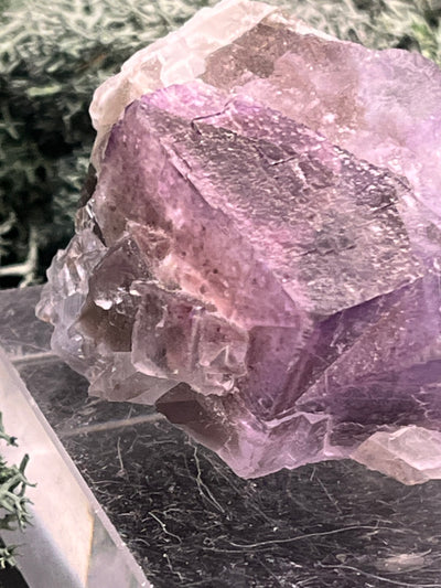 Fluorit Stufe aus Baluchistan/Pakistan (88g) - Stufe mit schöner violetter Kristallstruktur - crystal paradise