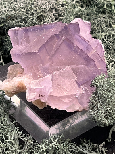 Fluorit Stufe aus Baluchistan/Pakistan (117g) - Stufe mit vielen schönen hellviolettem Kristallen - crystal paradise