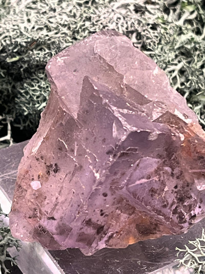 Fluorit Stufe aus Baluchistan/Pakistan (95g) - Stufe mit schöner hellviolettem Kristallstruktur - crystal paradise