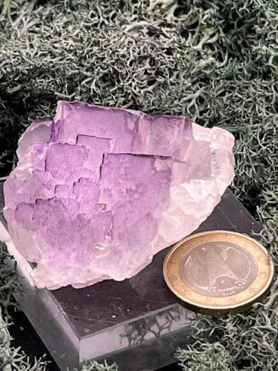 Fluorit Stufe aus Baluchistan/Pakistan (78g) - Stufe mit schöner hellvioletter Barcode Kristallstruktur - crystal paradise