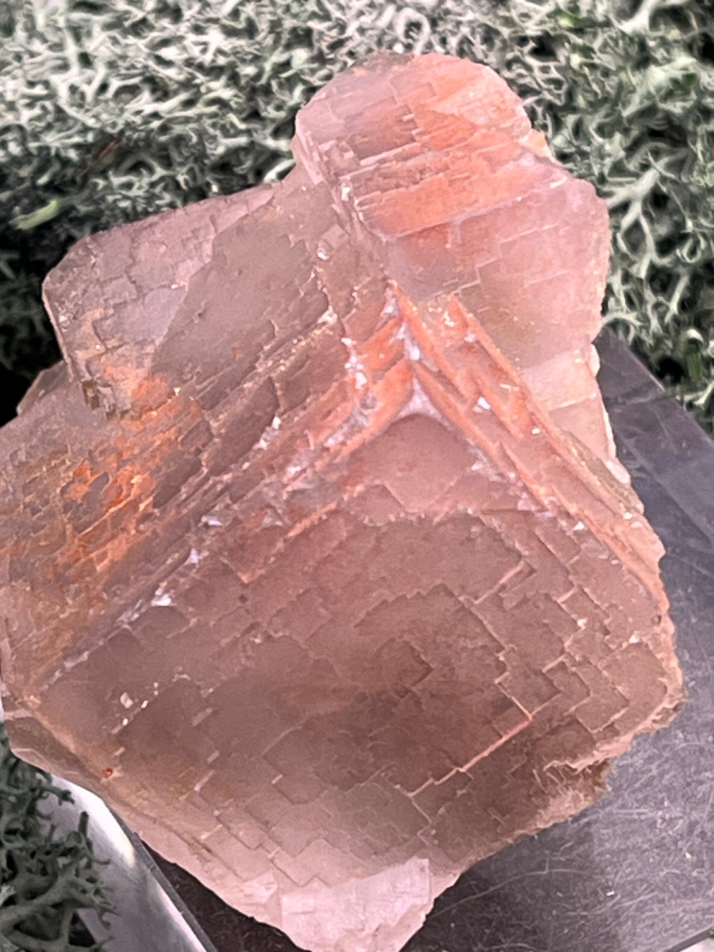 Fluorit Stufe aus Baluchistan/Pakistan (107g) - Stufe mit schöner hellvioletter Barcode Kristallstruktur und Phantom - crystal paradise