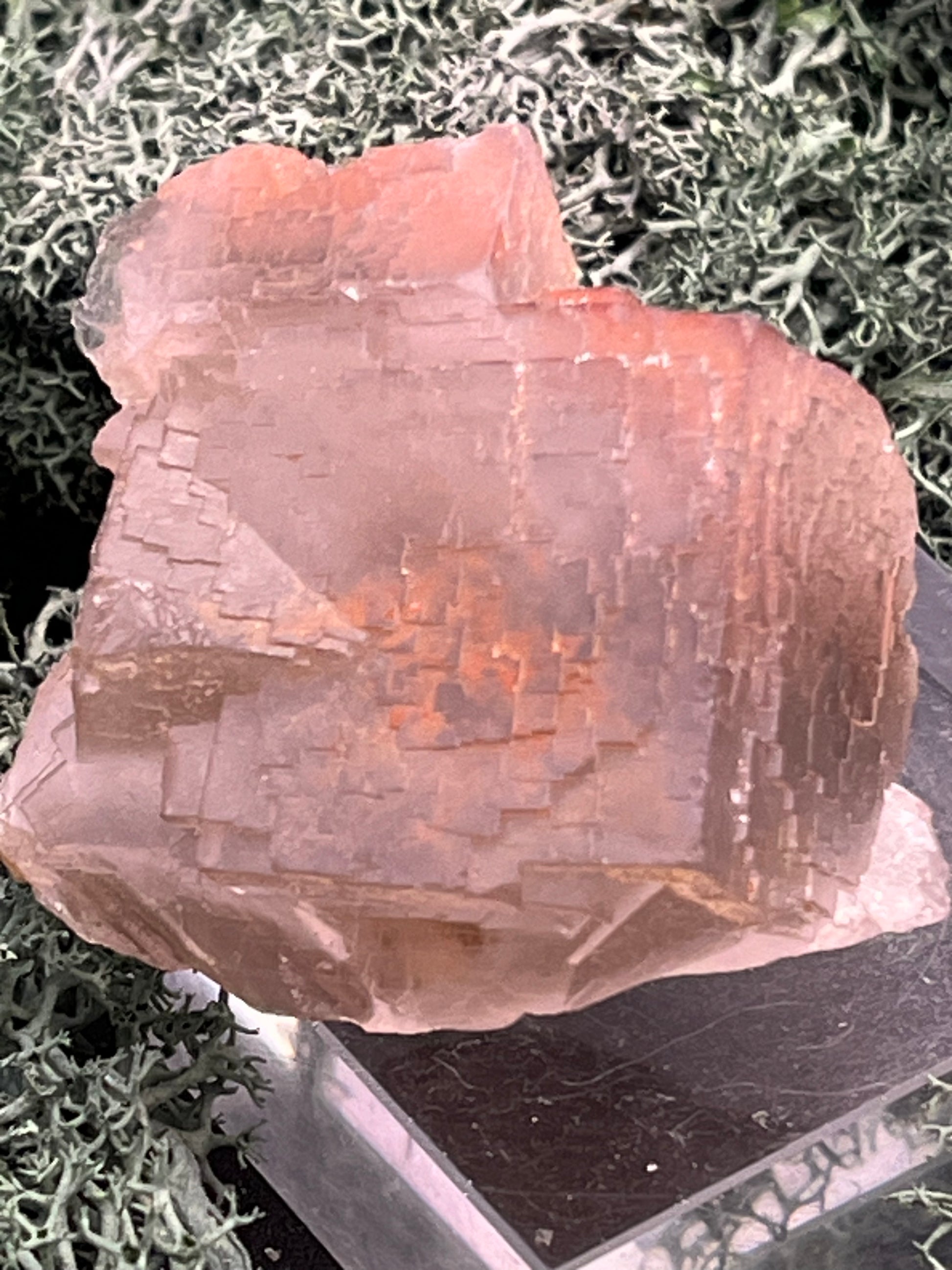 Fluorit Stufe aus Baluchistan/Pakistan (107g) - Stufe mit schöner hellvioletter Barcode Kristallstruktur und Phantom - crystal paradise