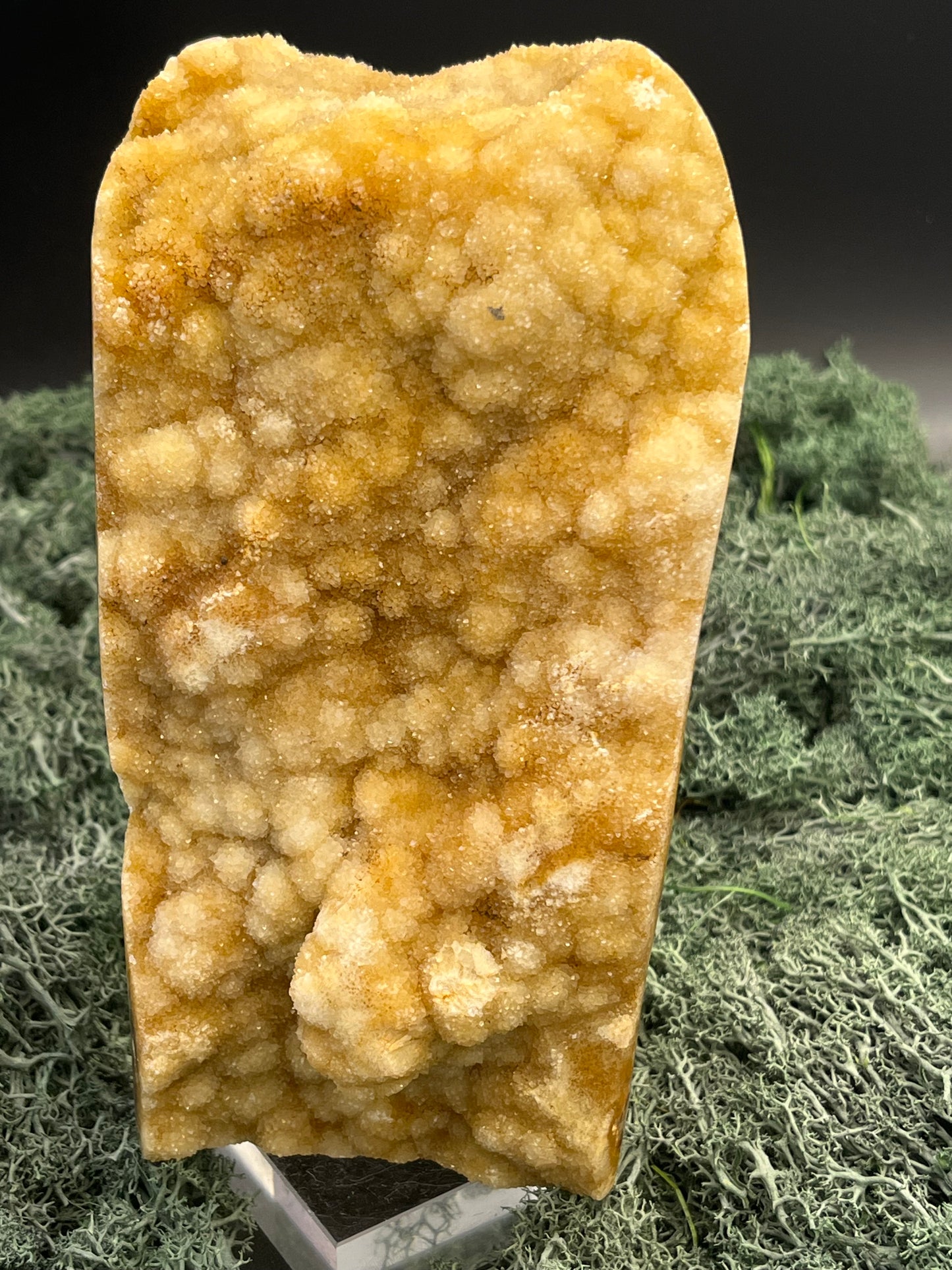 Gold-/beigefarbene Calcit Druzy Freeform aus Pakistan (1203g) - hohe großflächige super schöne Kugelkristalle - crystal paradise