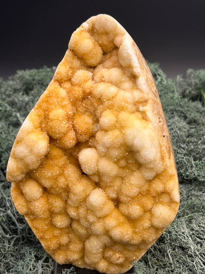 Gold-/beigefarbene Calcit Druzy Freeform aus Pakistan (1152g) - super schöne Kugelkristalle - crystal paradise