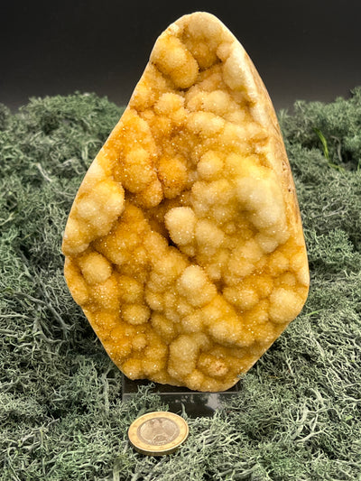 Gold-/beigefarbene Calcit Druzy Freeform aus Pakistan (1152g) - super schöne Kugelkristalle - crystal paradise