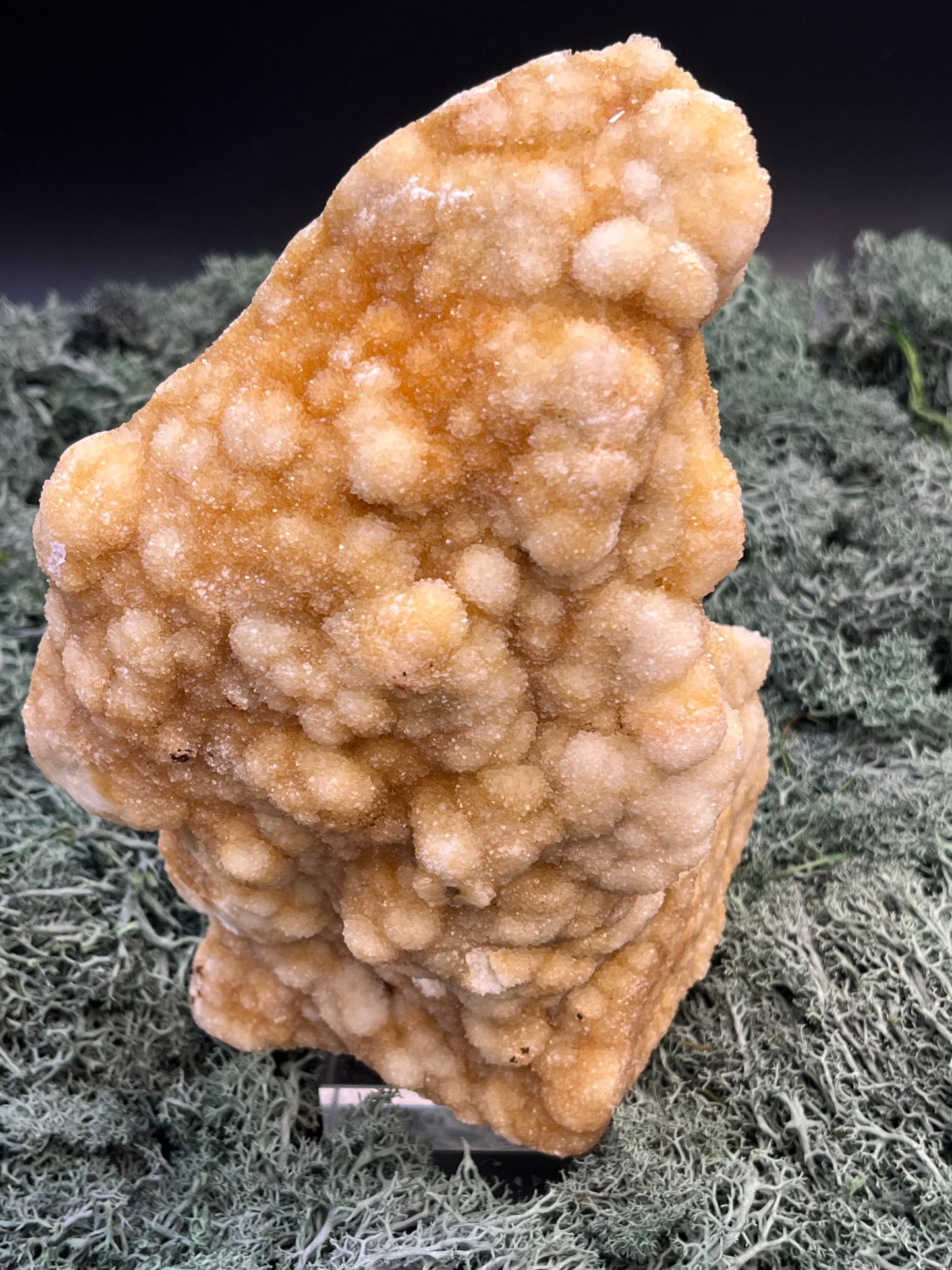 Gold-/beigefarbene Calcit Druzy Freeform aus Pakistan (1478g) - hohe großflächige super schöne Kugelkristalle - crystal paradise