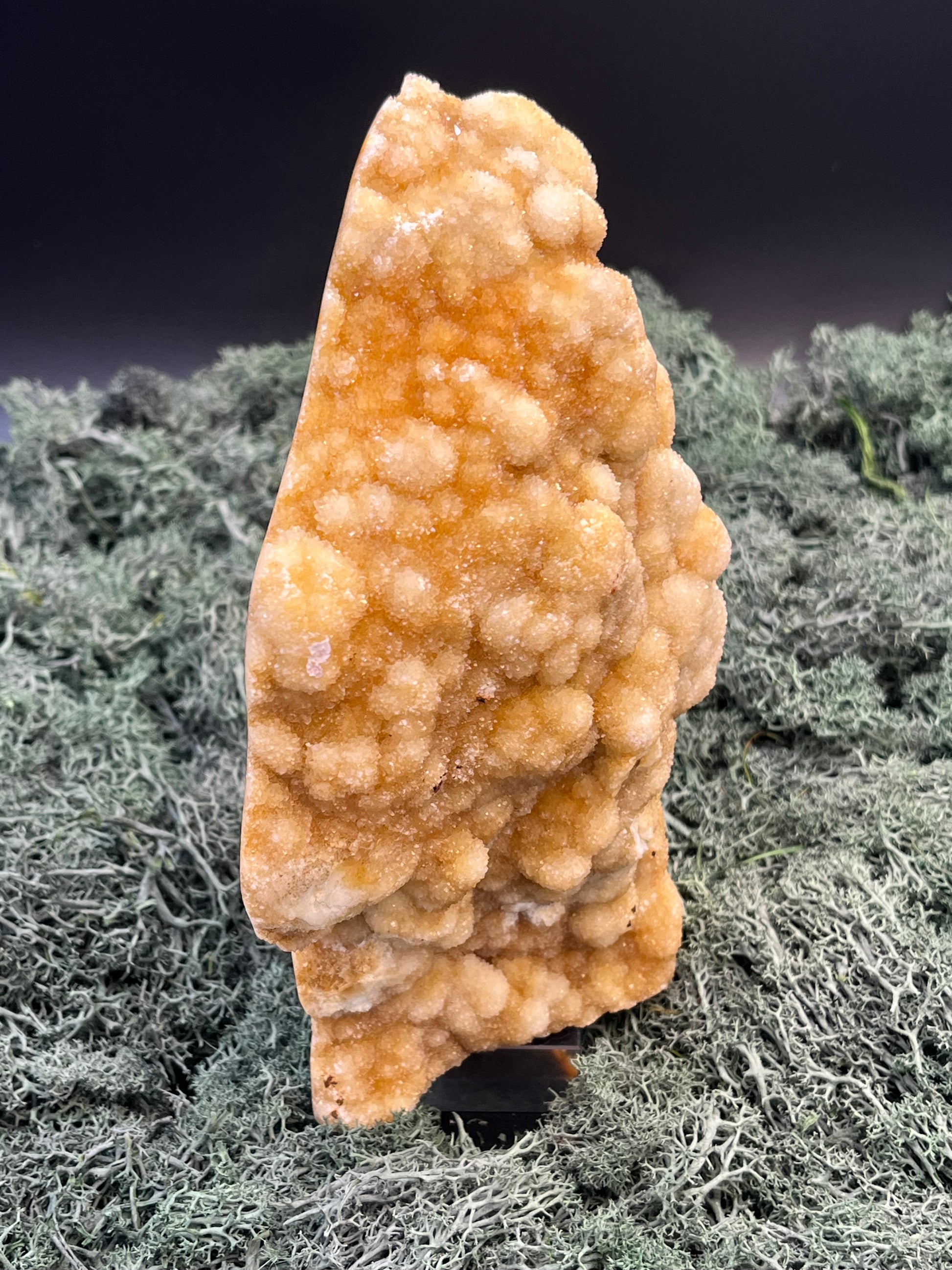 Gold-/beigefarbene Calcit Druzy Freeform aus Pakistan (1478g) - hohe großflächige super schöne Kugelkristalle - crystal paradise