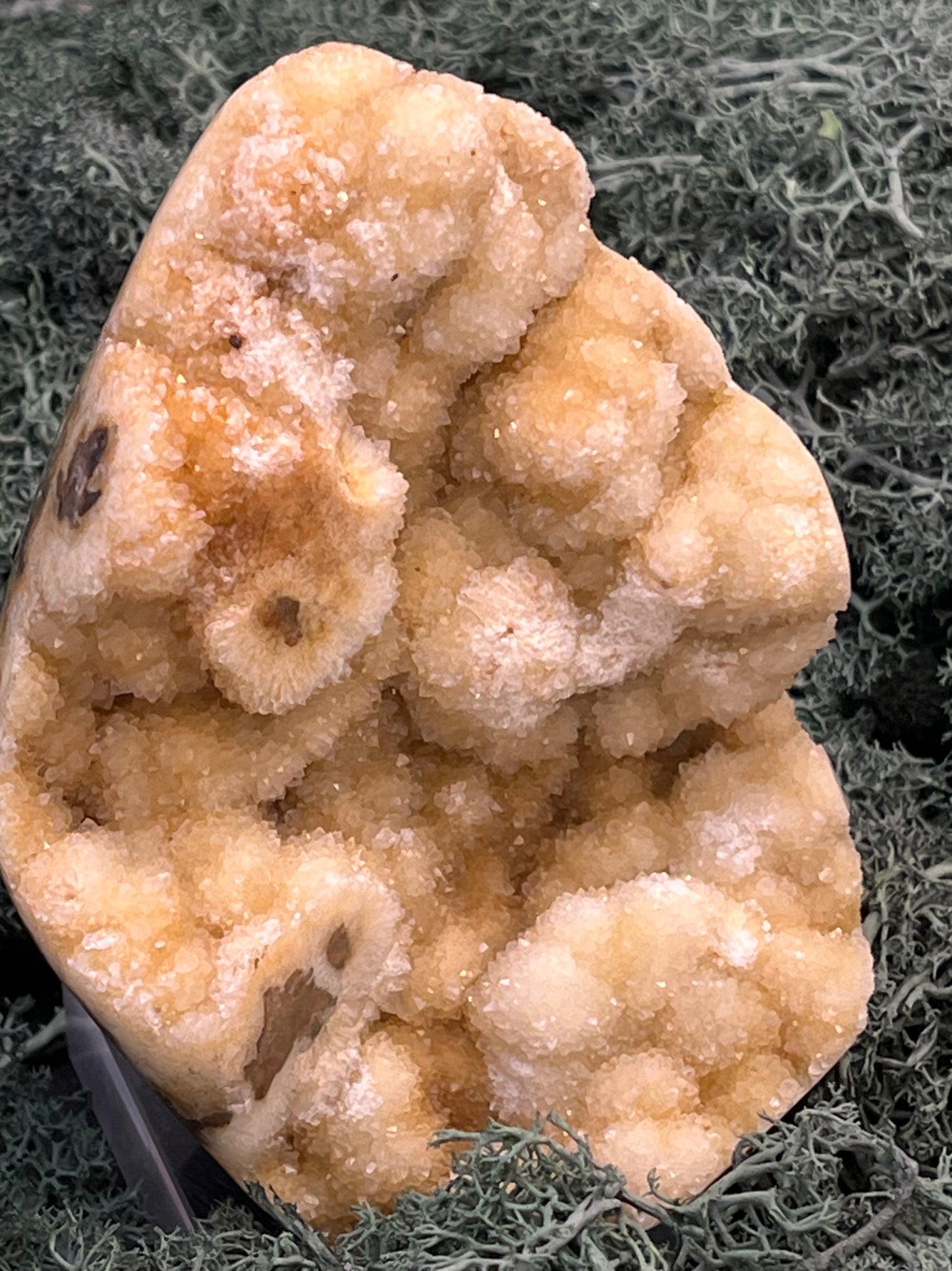 Gold-/beigefarbene Calcit Druzy Freeform aus Pakistan (591g) - super schöne Kugelkristalle und Druzyse - crystal paradise