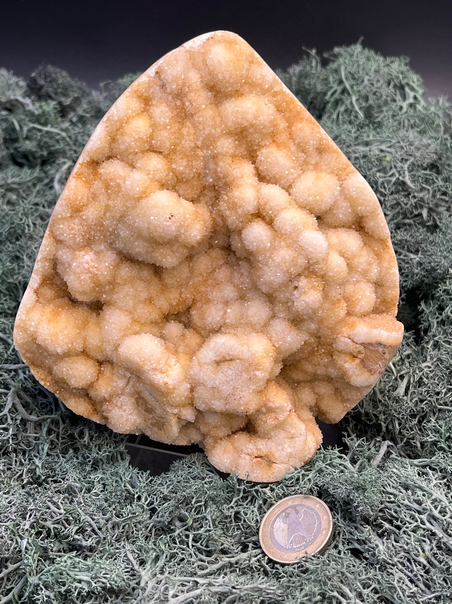 Gold-/beigefarbene Calcit Druzy Freeform aus Pakistan (1301g) - super schöne grosse Kugelkristalle und Druzys - crystal paradise