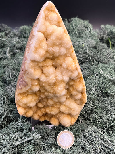 Gold-/beigefarbene Calcit Druzy Freeform aus Pakistan (1009g) - super schöne Kugelkristalle und Druzys - crystal paradise