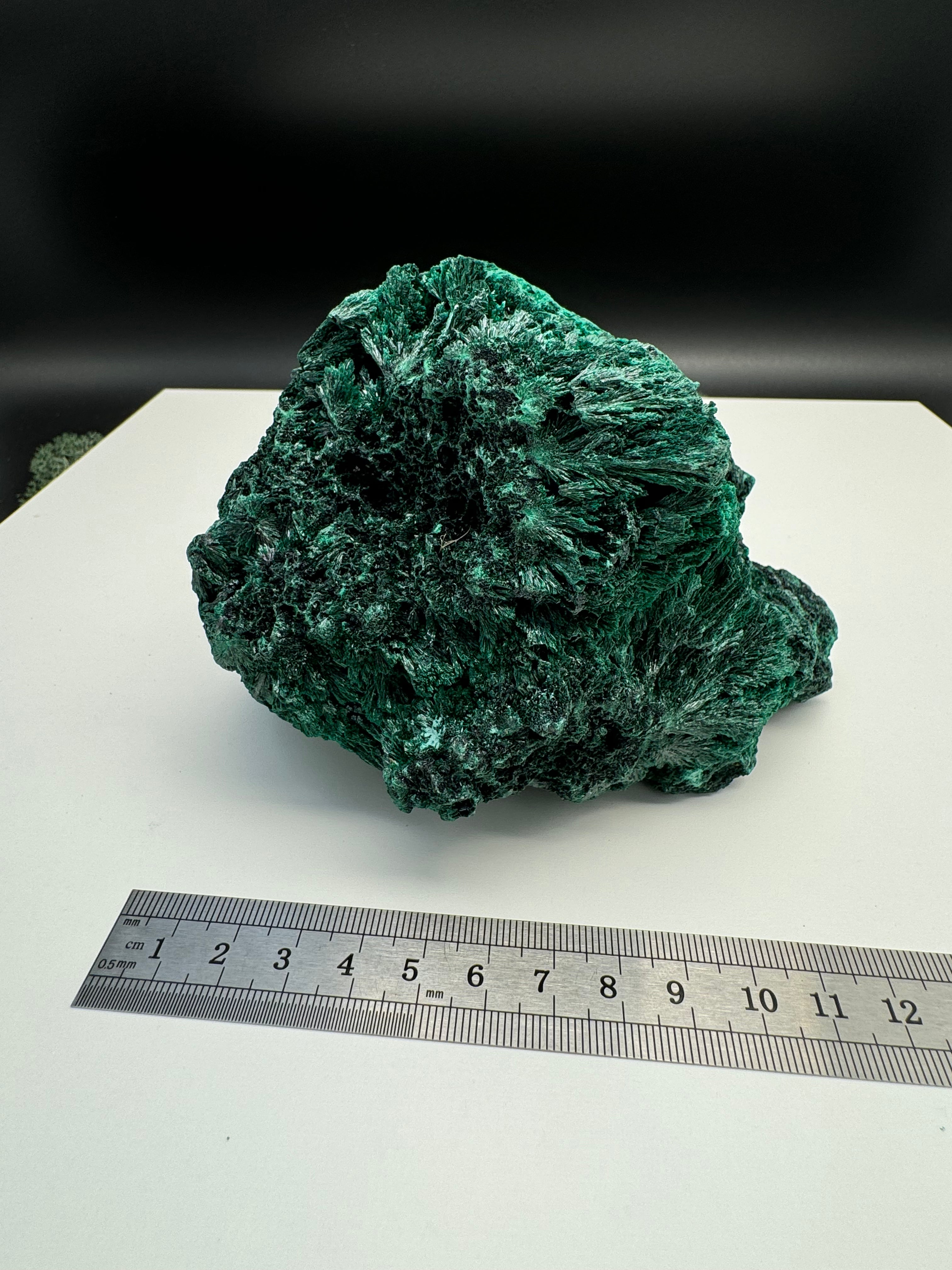 Malachit (fibrös) Großstufe aus dem Kongo (937g) - tiefgrün - crystal paradise