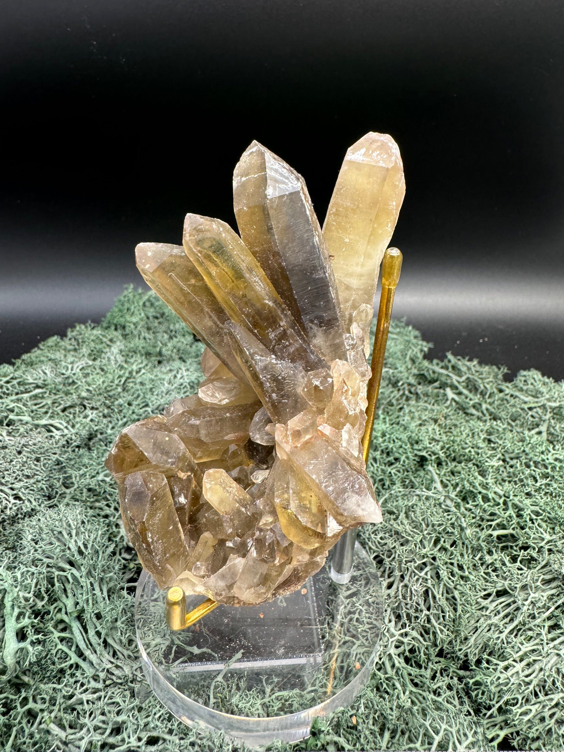 Rauchquarz Stufe aus Brasilien (210g) - schönes beites Cluster - crystal paradise