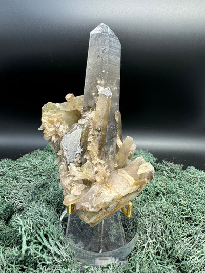 Rauchquarz Stufe aus Brasilien (514g) - sehr schöner Hauptkristall - crystal paradise