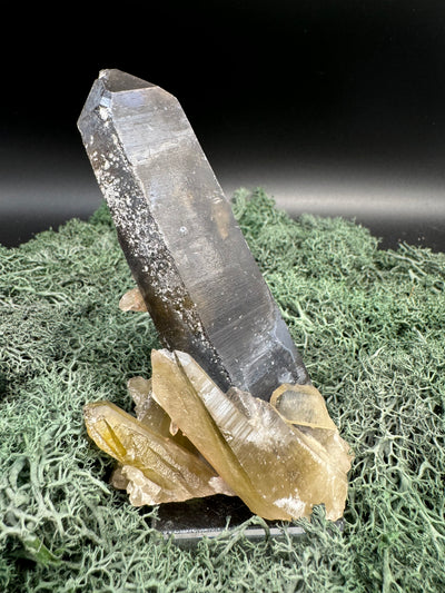 Rauchquarz Stufe aus Brasilien (252g) - schöner großer Kristall - crystal paradise