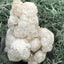 Okenit auf Calcit und Apophyllit Cluster aus Indien (50g) - viele Apophyllit Kristalle - crystal paradise