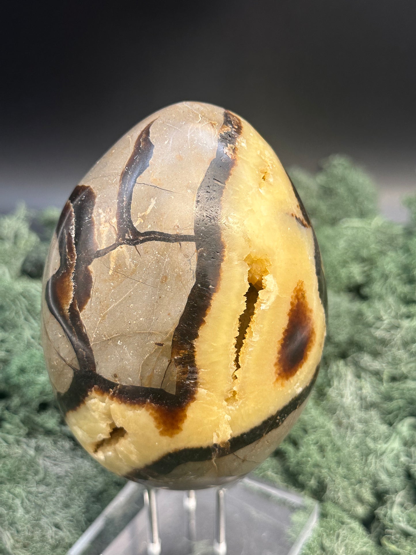 Septarie Ei (874g) - gross mit sehr schöne Druzys