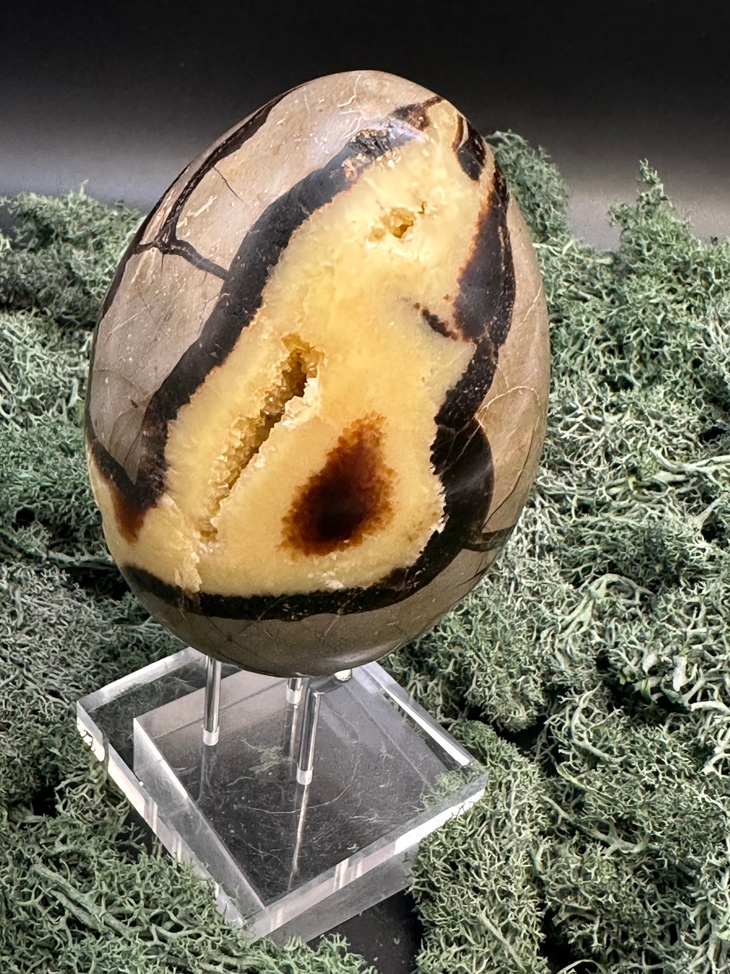 Septarie Ei (874g) - gross mit sehr schöne Druzys