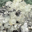 Prehnit  und Quarz Handstufe aus Hubei, China (290g) - hellgrüne Kristalle - crystal paradise