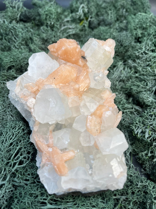 Apophyllit Stilbit Cluster aus Indien (528g)