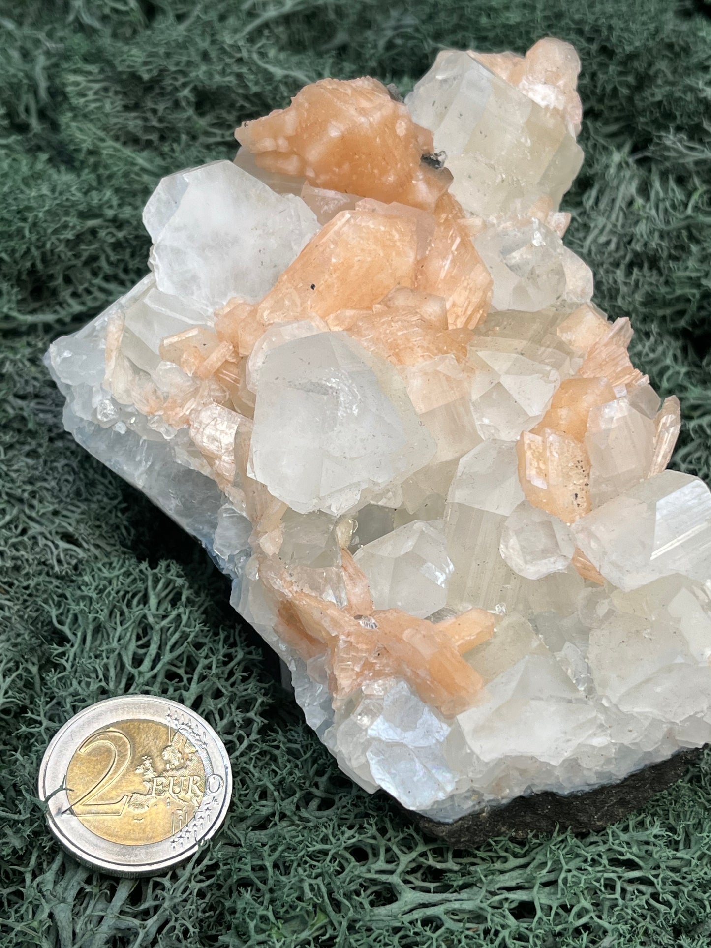 Apophyllit Stilbit Cluster aus Indien (528g)