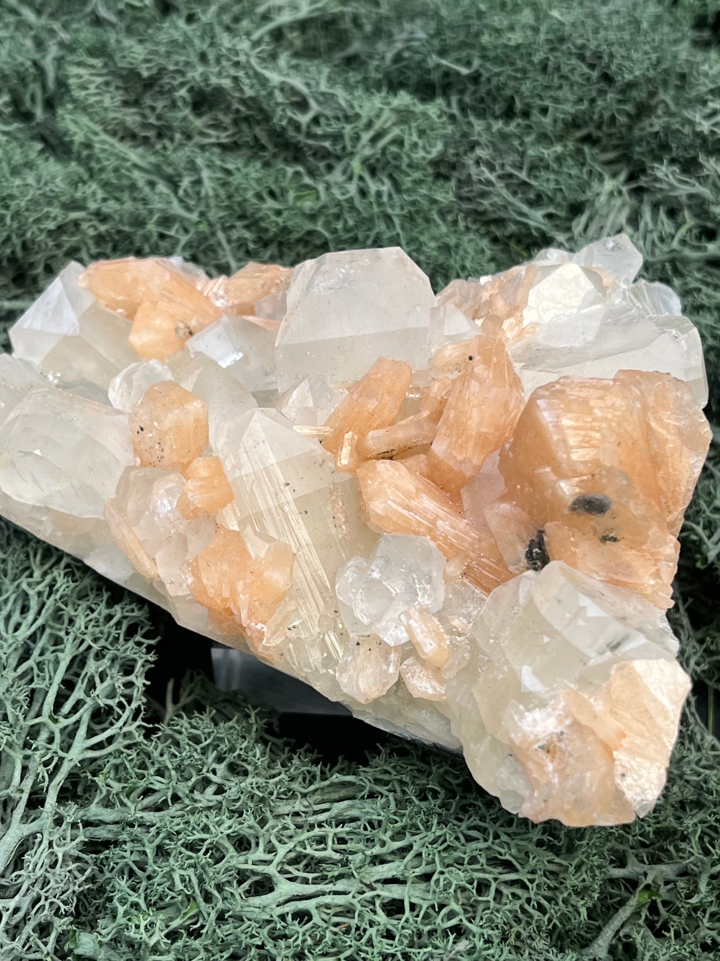 Apophyllit Stilbit Cluster aus Indien (528g)