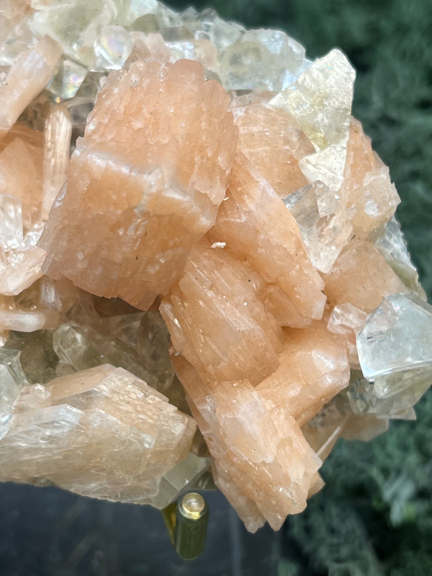 Apophyllit Stilbit Cluster aus Indien (237g)