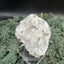 Apophyllit Stilbit Cluster aus Indien (234g) - crystal paradise