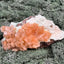 Stilbit Cluster gross auf Zeolith aus Indien (608g) - viele grosse Kristalle - crystal paradise