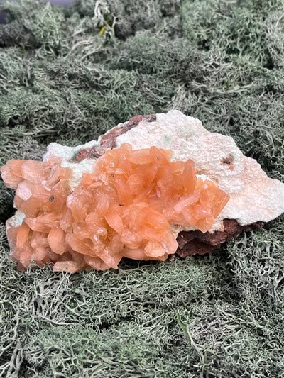 Stilbit Cluster gross auf Zeolith aus Indien (608g) - viele grosse Kristalle - crystal paradise