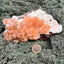 Stilbit Cluster gross auf Zeolith aus Indien (608g) - viele grosse Kristalle - crystal paradise