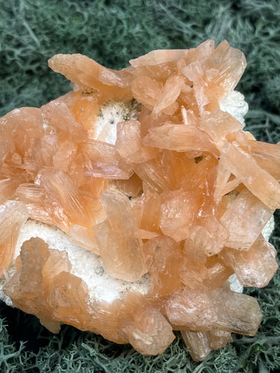 Stilbit Cluster Handstufe auf Zeolith aus Indien (273g) - viele grosse Kristalle - crystal paradise