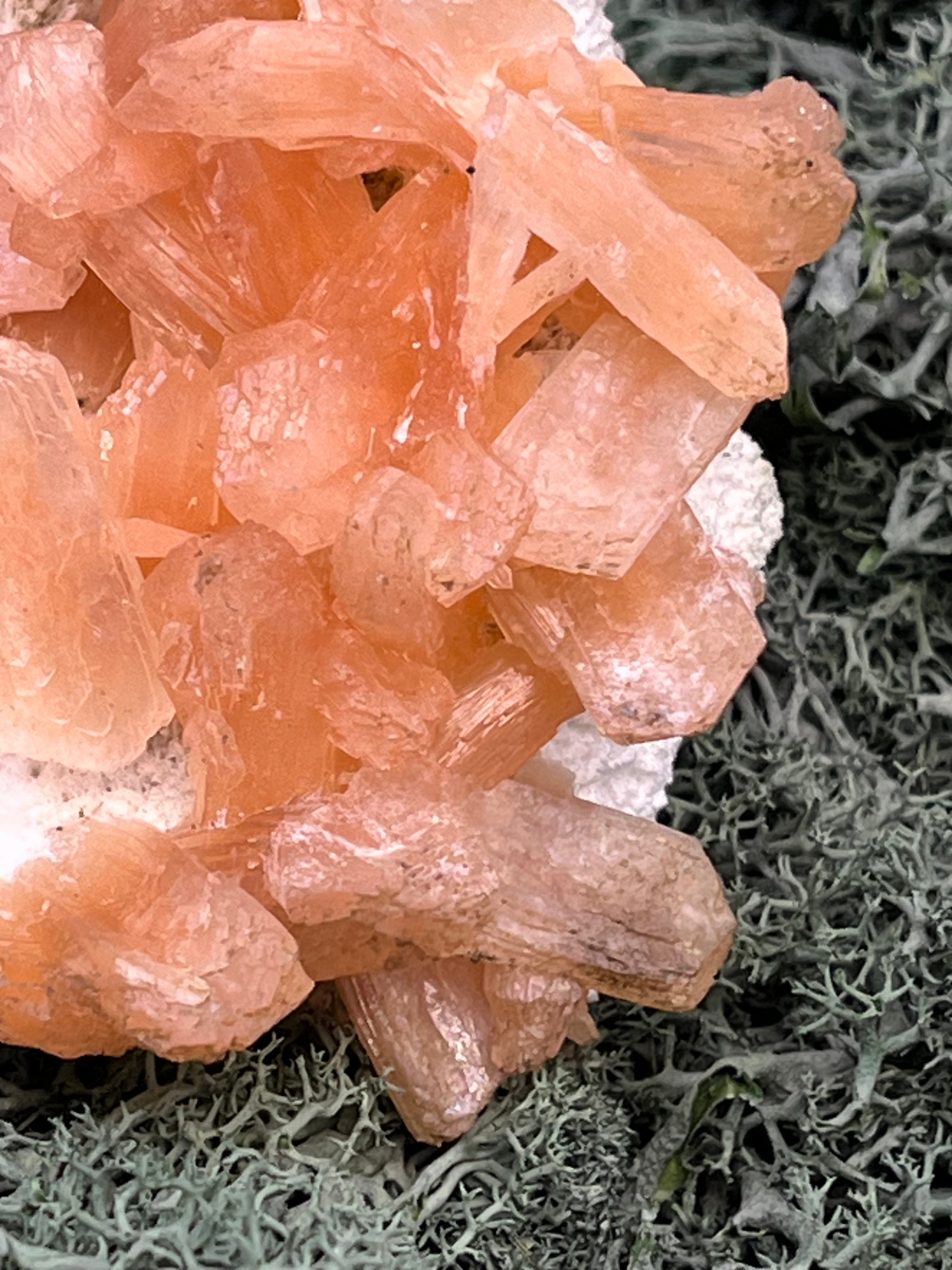 Stilbit Cluster Handstufe auf Zeolith aus Indien (273g) - viele grosse Kristalle - crystal paradise