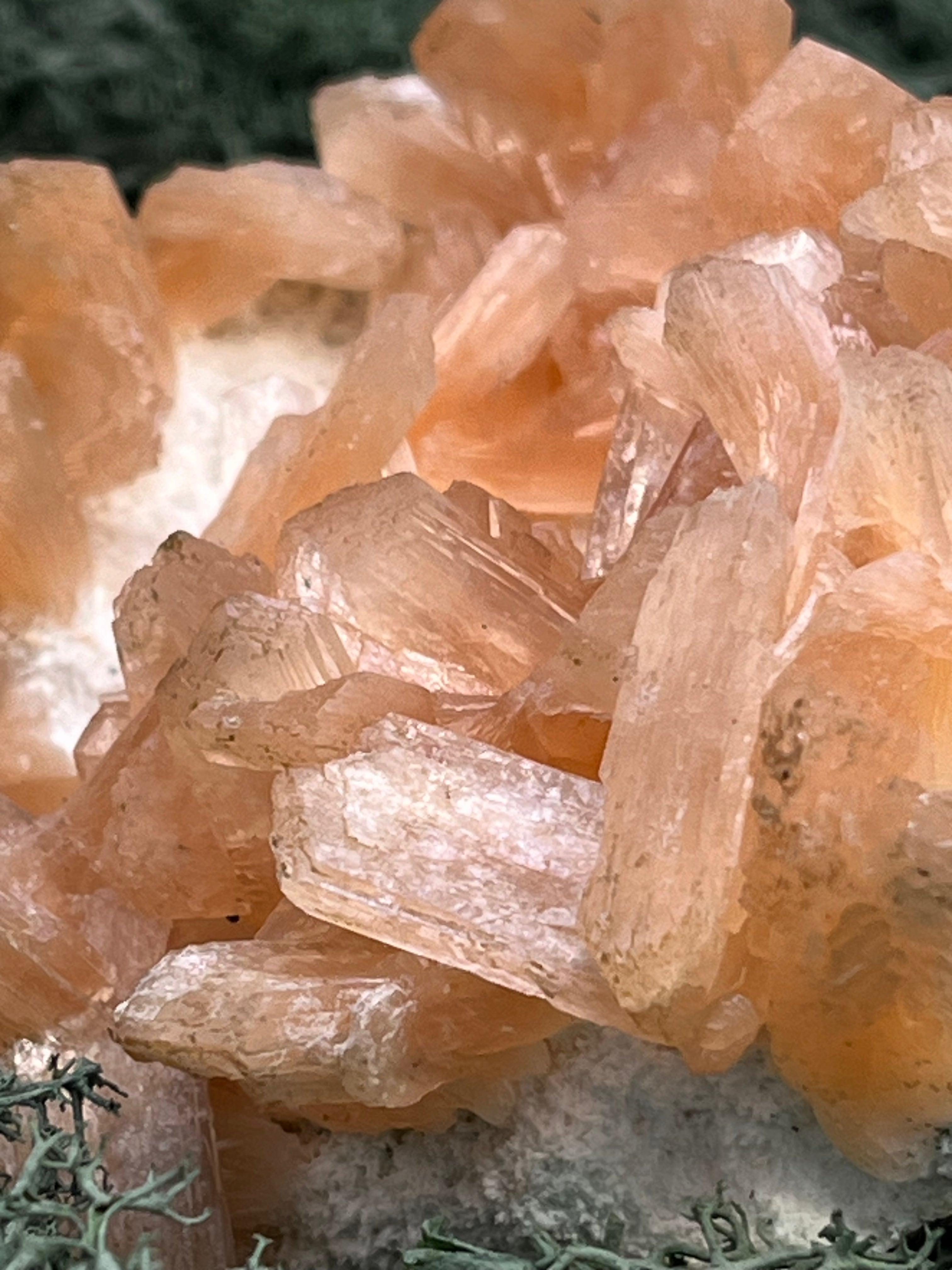 Stilbit Cluster Handstufe auf Zeolith aus Indien (273g) - viele grosse Kristalle - crystal paradise