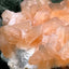 Stilbit Cluster Handstufe auf Zeolith aus Indien (273g) - viele grosse Kristalle - crystal paradise