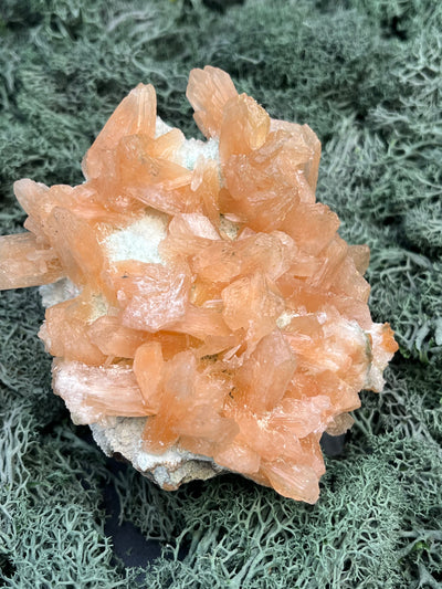 Stilbit Cluster Handstufe auf Zeolith aus Indien (304g) - viele grosse Kristalle - crystal paradise